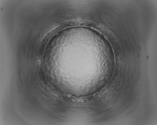 X0000067331302200604131650