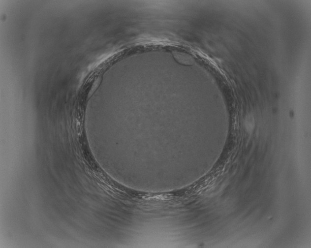 X0000067331303200604131650