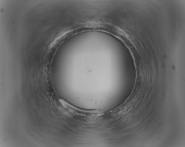 X0000067331304200604131650