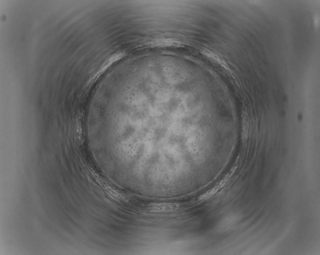 X0000067331305200604131650