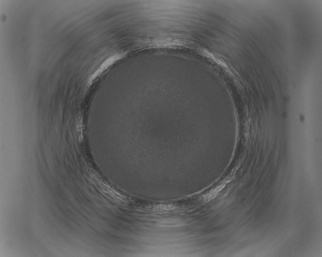 X0000067331306200604131650