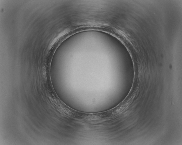 X0000067331307200604131650