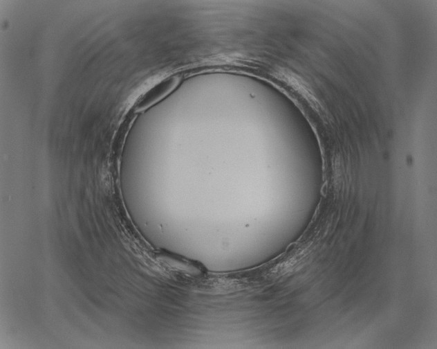 X0000067331308200604131650