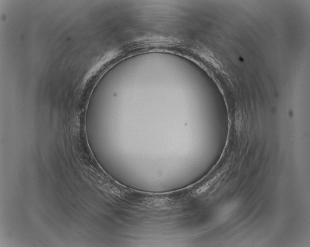 X0000067331309200604131650