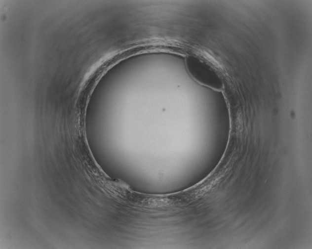 X0000067331310200604131650