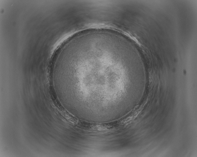 X0000067331311200604131650