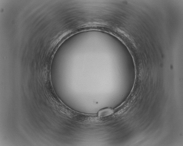 X0000067331313200604131651