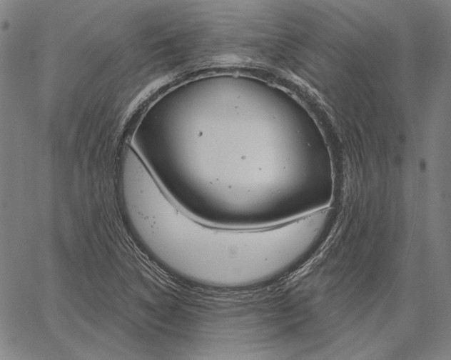 X0000067331314200604131651