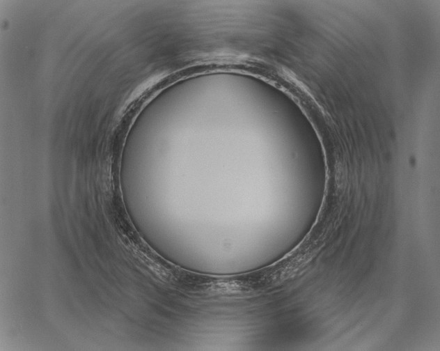 X0000067331315200604131651