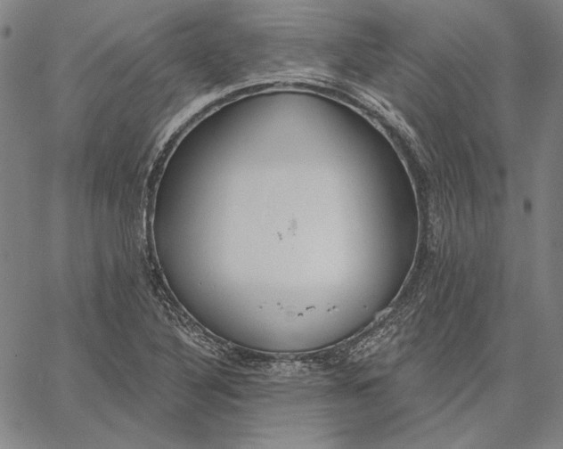 X0000067331316200604131651