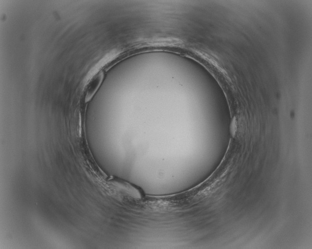 X0000067331317200604131651