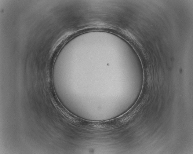 X0000067331318200604131651