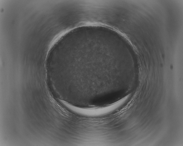 X0000067331319200604131651