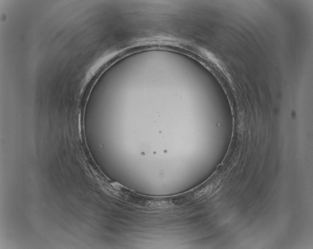 X0000067331320200604131651