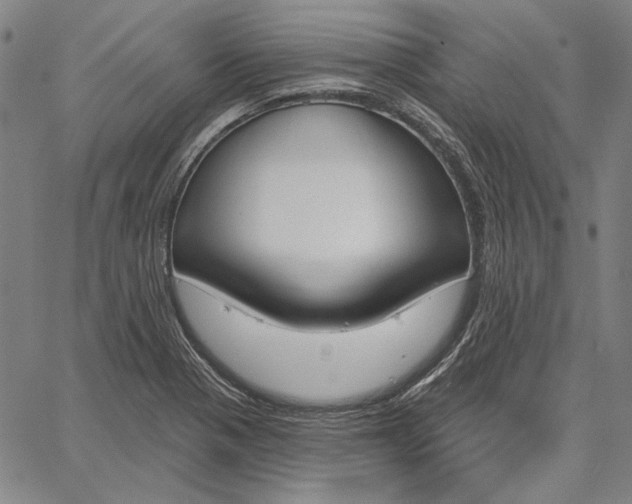 X0000067331321200604131651