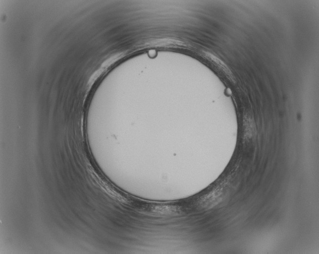 X0000067331322200604131651