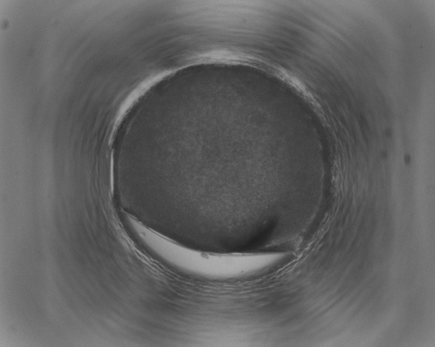 X0000067331323200604131651