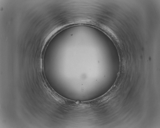 X0000067331324200604131651