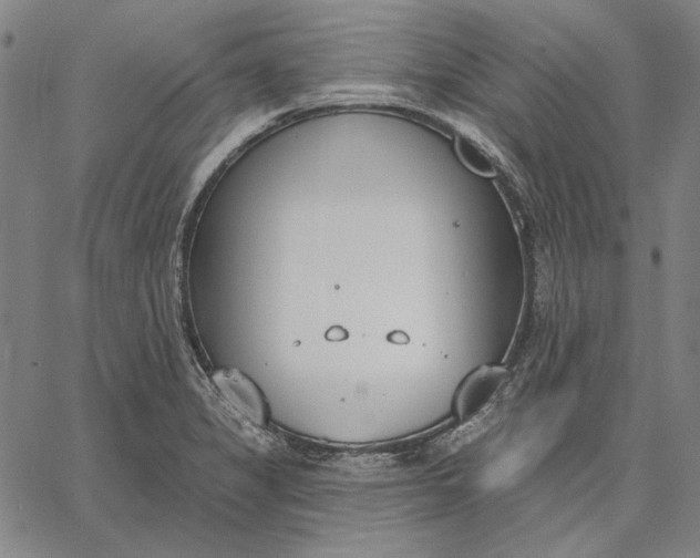 X0000067331325200604131651