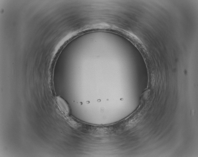 X0000067331326200604131651