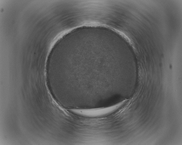 X0000067331327200604131651