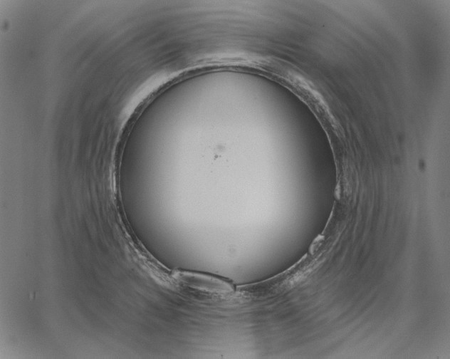 X0000067331328200604131651