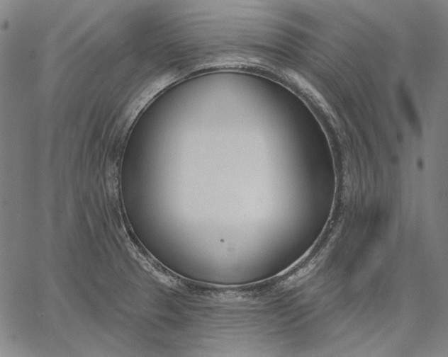 X0000067331329200604131651