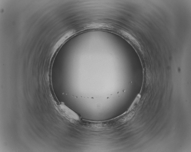 X0000067331330200604131651