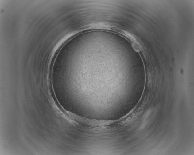 X0000067331331200604131651