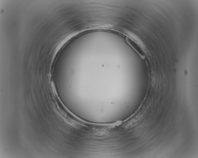 X0000067331332200604131651