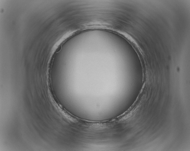 X0000067331333200604131651