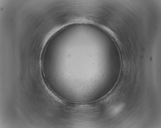 X0000067331335200604131651