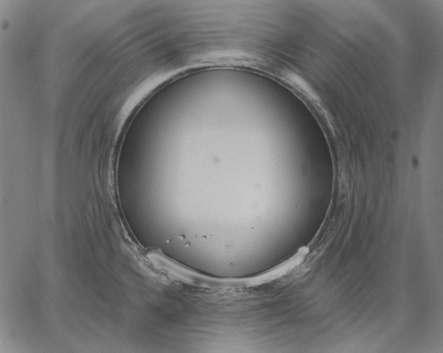 X0000067331336200604131651