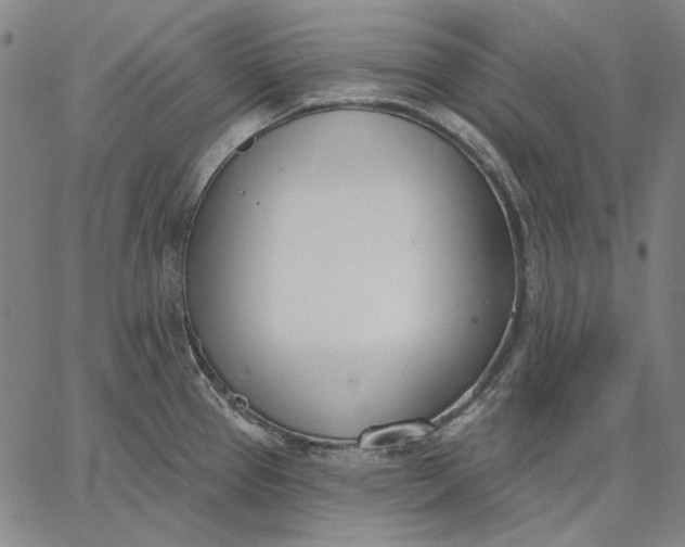 X0000067331337200604131651