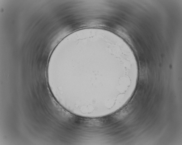 X0000067331338200604131651