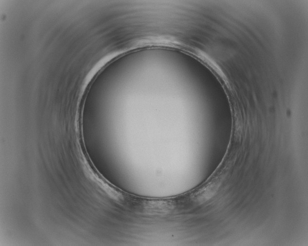 X0000067331339200604131651