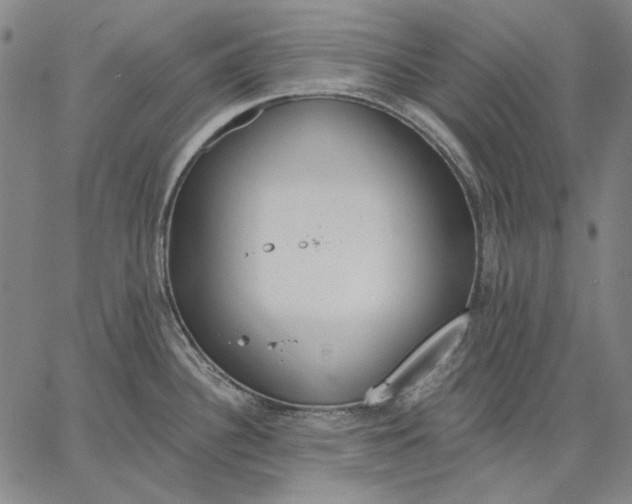 X0000067331340200604131651