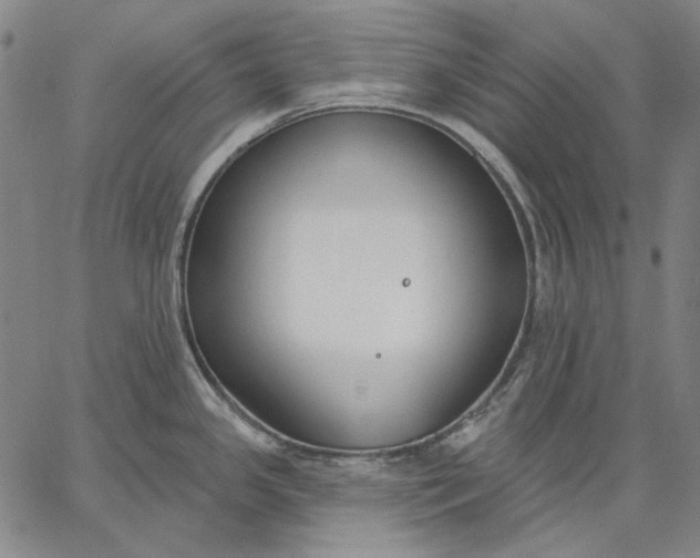 X0000067331341200604131651