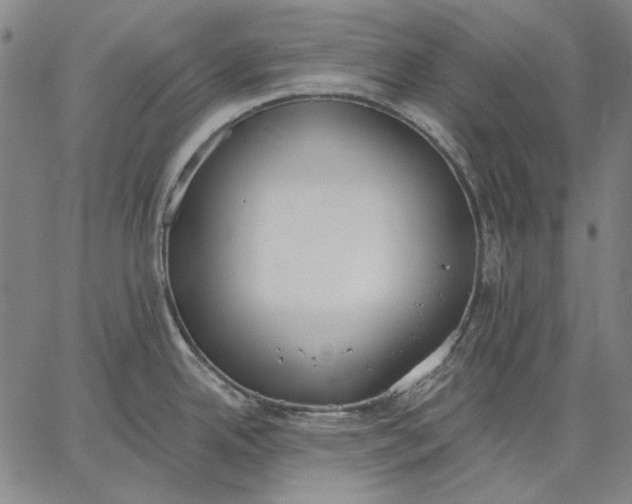 X0000067331342200604131651