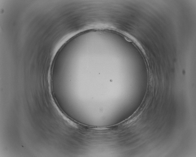 X0000067331343200604131651