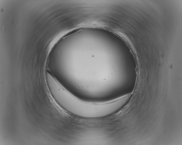 X0000067331344200604131651