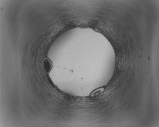 X0000067331345200604131650