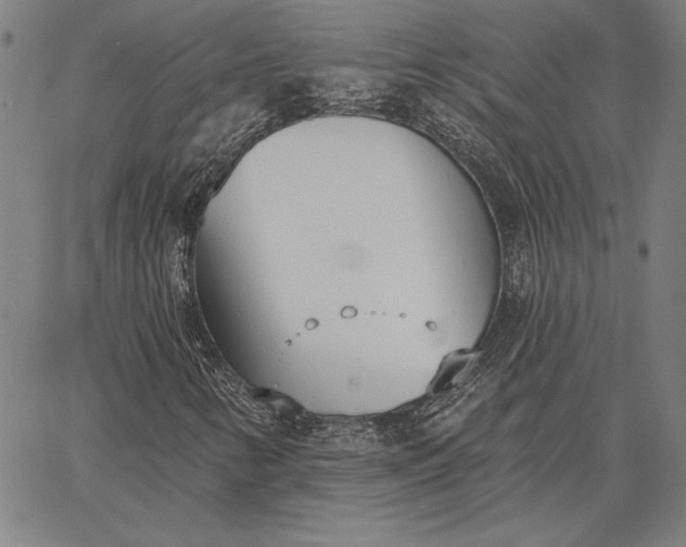 X0000067331346200604131650