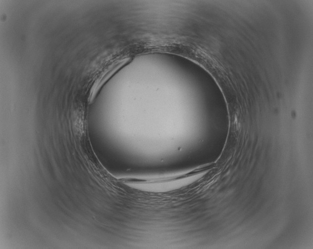 X0000067331348200604131650