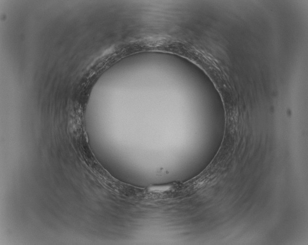 X0000067331349200604131650