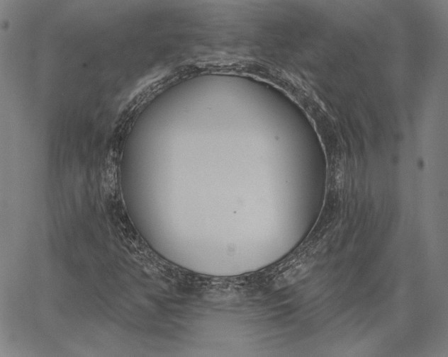 X0000067331350200604131650