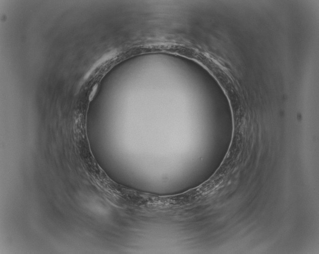 X0000067331351200604131650