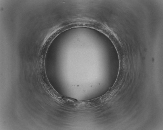 X0000067331352200604131650