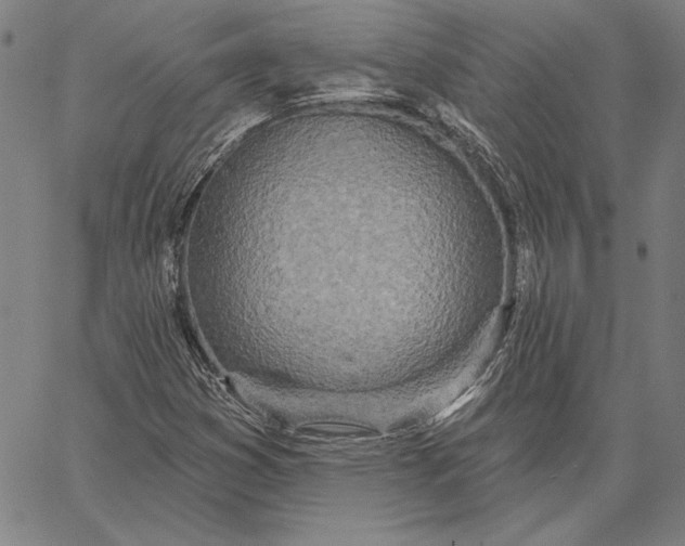 X0000067331353200604131650