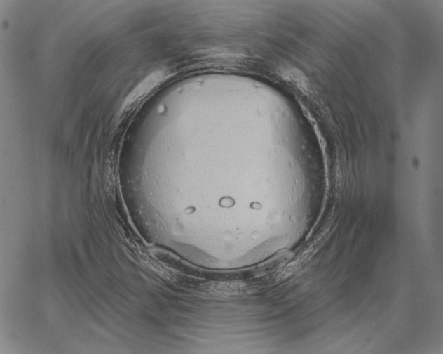 X0000067331354200604131650